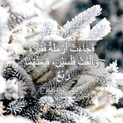 Picture 05 - مَرْقُس 12:42 AVD - فَجَاءَتْ أَرْمَلَةٌ - Bible Verse Picture