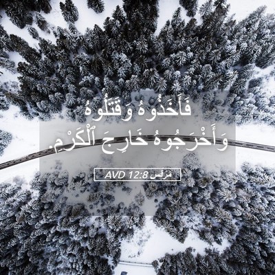 Picture 05 - مَرْقُس 12:8 AVD - فَأَخَذُوهُ وَقَتَلُوهُ - Bible Verse Picture