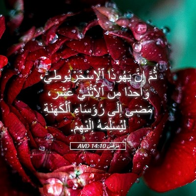 Picture 05 - مَرْقُس 14:10 AVD - ثُمَّ إِنَّ يَهُوذَا - Bible Verse Picture