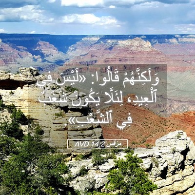 Picture 05 - مَرْقُس 14:2 AVD - وَلَكِنَّهُمْ قَالُوا: - Bible Verse Picture