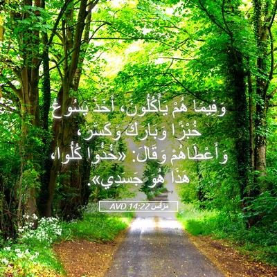 Picture 05 - مَرْقُس 14:22 AVD - وَفِيمَا هُمْ - Bible Verse Picture