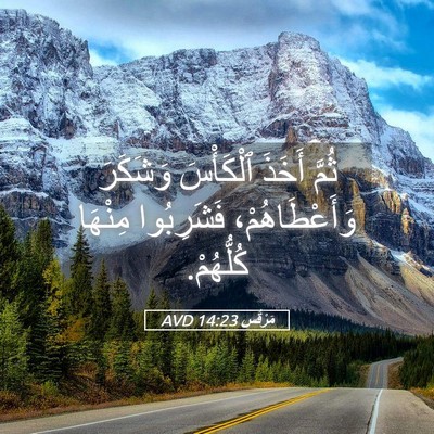 Picture 05 - مَرْقُس 14:23 AVD - ثُمَّ أَخَذَ ٱلْكَأْسَ - Bible Verse Picture