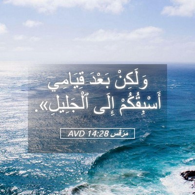 Picture 05 - مَرْقُس 14:28 AVD - وَلَكِنْ بَعْدَ قِيَامِي - Bible Verse Picture