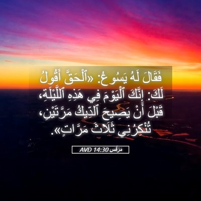 Picture 05 - مَرْقُس 14:30 AVD - فَقَالَ لَهُ يَسُوعُ: - Bible Verse Picture