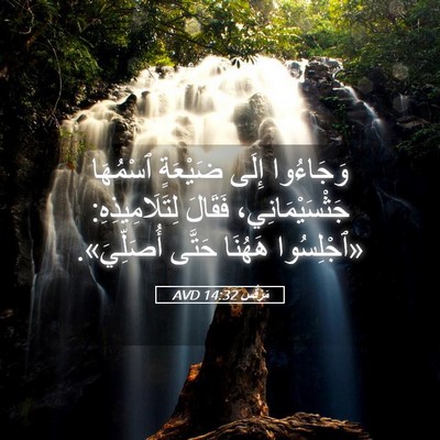 Picture 05 - مَرْقُس 14:32 AVD - وَجَاءُوا إِلَى ضَيْعَةٍ - Bible Verse Picture