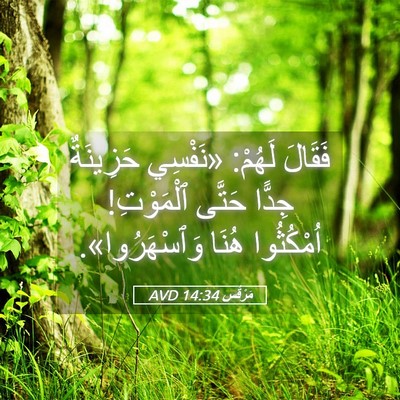 Picture 05 - مَرْقُس 14:34 AVD - فَقَالَ لَهُمْ: «نَفْسِي - Bible Verse Picture