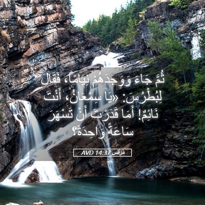 Picture 05 - مَرْقُس 14:37 AVD - ثُمَّ جَاءَ وَوَجَدَهُمْ - Bible Verse Picture