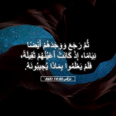 Picture 05 - مَرْقُس 14:40 AVD - ثُمَّ رَجَعَ وَوَجَدَهُمْ - Bible Verse Picture