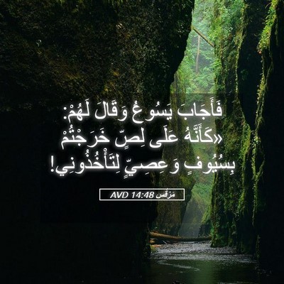 Picture 05 - مَرْقُس 14:48 AVD - فَأَجَابَ يَسُوعُ وَقَالَ - Bible Verse Picture