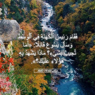 Picture 05 - مَرْقُس 14:60 AVD - فَقَامَ رَئِيسُ - Bible Verse Picture
