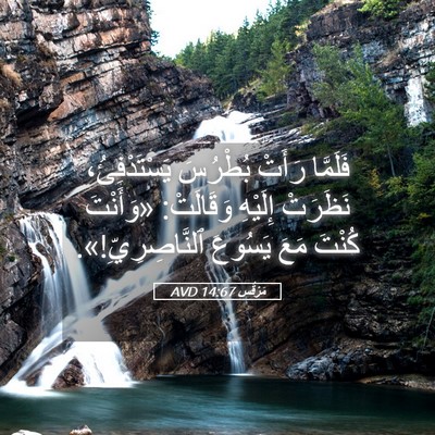 Picture 05 - مَرْقُس 14:67 AVD - فَلَمَّا رَأَتْ بُطْرُسَ - Bible Verse Picture