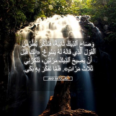 Picture 05 - مَرْقُس 14:72 AVD - وَصَاحَ ٱلدِّيكُ - Bible Verse Picture