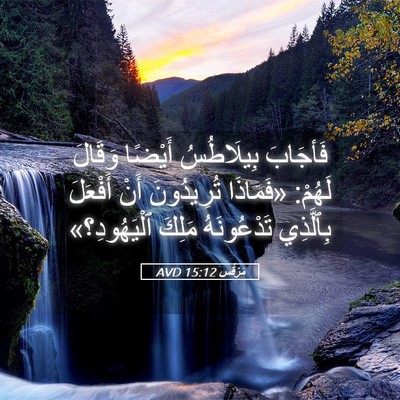 Picture 05 - مَرْقُس 15:12 AVD - فَأجَابَ بِيلَاطُسُ - Bible Verse Picture