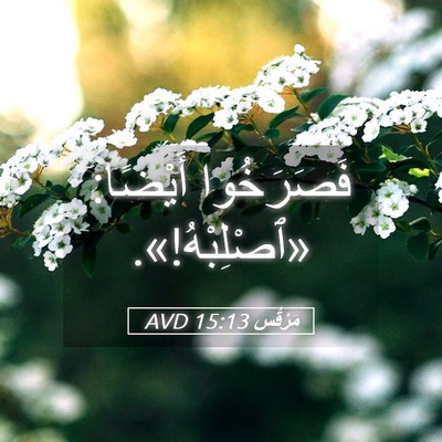 Picture 05 - مَرْقُس 15:13 AVD - فَصَرَخُوا أَيْضًا: - Bible Verse Picture
