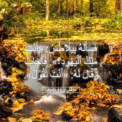 Picture 05 - مَرْقُس 15:2 AVD - فَسَأَلَهُ بِيلَاطُسُ: - Bible Verse Picture