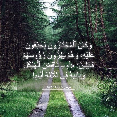 Picture 05 - مَرْقُس 15:29 AVD - وَكَانَ ٱلْمُجْتَازُونَ - Bible Verse Picture
