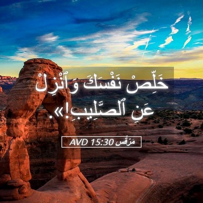 Picture 05 - مَرْقُس 15:30 AVD - خَلِّصْ نَفْسَكَ - Bible Verse Picture