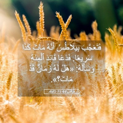 Picture 05 - مَرْقُس 15:44 AVD - فَتَعَجَّبَ بِيلَاطُسُ - Bible Verse Picture
