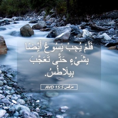 Picture 05 - مَرْقُس 15:5 AVD - فَلَمْ يُجِبْ يَسُوعُ - Bible Verse Picture