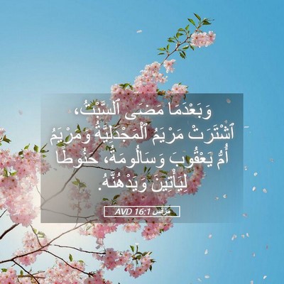 Picture 05 - مَرْقُس 16:1 AVD - وَبَعْدَمَا مَضَى - Bible Verse Picture