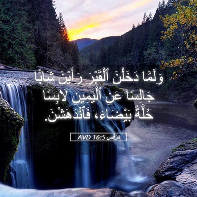 Picture 05 - مَرْقُس 16:5 AVD - وَلَمَّا دَخَلْنَ - Bible Verse Picture