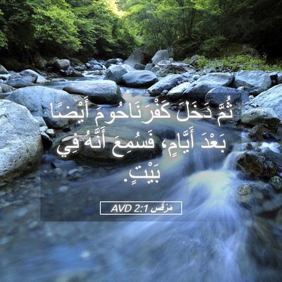 Picture 05 - مَرْقُس 2:1 AVD - ثُمَّ دَخَلَ - Bible Verse Picture