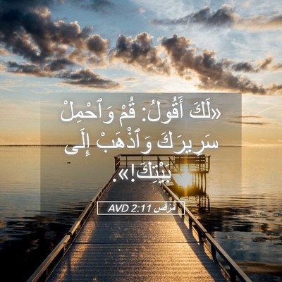 Picture 05 - مَرْقُس 2:11 AVD - «لَكَ أَقُولُ: قُمْ - Bible Verse Picture