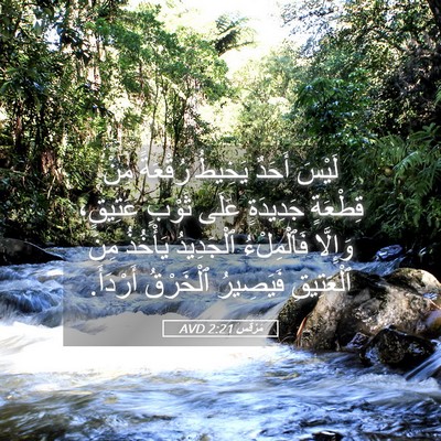 Picture 05 - مَرْقُس 2:21 AVD - لَيْسَ أَحَدٌ يَخِيطُ - Bible Verse Picture