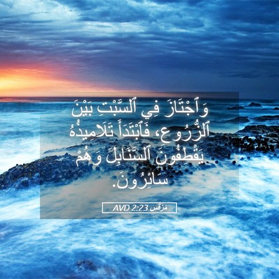 Picture 05 - مَرْقُس 2:23 AVD - وَٱجْتَازَ فِي ٱلسَّبْتِ - Bible Verse Picture