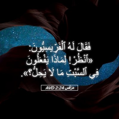 Picture 05 - مَرْقُس 2:24 AVD - فَقَالَ لَهُ - Bible Verse Picture