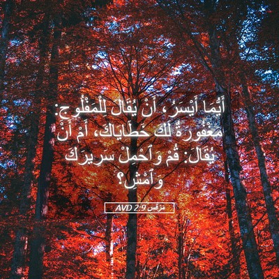 Picture 05 - مَرْقُس 2:9 AVD - أَيُّمَا أَيْسَرُ، أَنْ - Bible Verse Picture