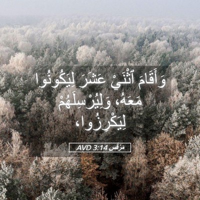 Picture 05 - مَرْقُس 3:14 AVD - وَأَقَامَ ٱثْنَيْ عَشَرَ - Bible Verse Picture