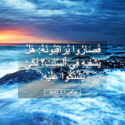 Picture 05 - مَرْقُس 3:2 AVD - فَصَارُوا يُرَاقِبُونَهُ: - Bible Verse Picture