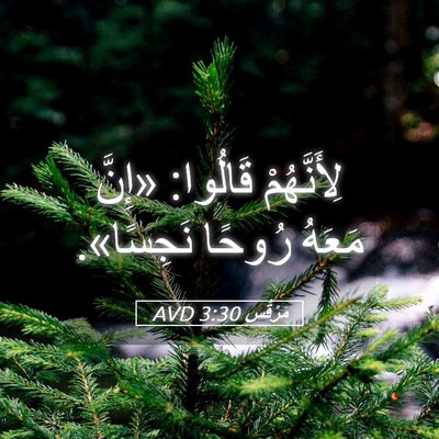 Picture 05 - مَرْقُس 3:30 AVD - لِأَنَّهُمْ قَالُوا: - Bible Verse Picture