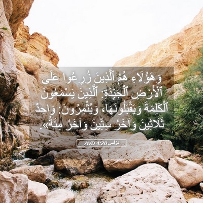 Picture 05 - مَرْقُس 4:20 AVD - وَهَؤُلَاءِ هُمُ - Bible Verse Picture