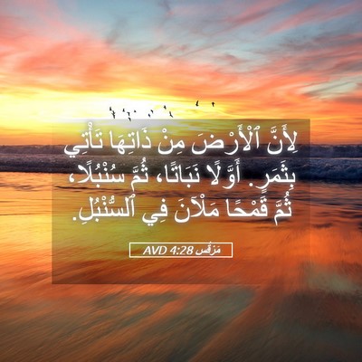 Picture 05 - مَرْقُس 4:28 AVD - لِأَنَّ ٱلْأَرْضَ مِنْ - Bible Verse Picture
