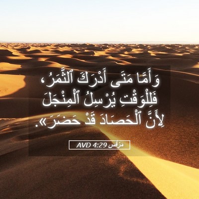 Picture 05 - مَرْقُس 4:29 AVD - وَأَمَّا مَتَى أَدْرَكَ - Bible Verse Picture