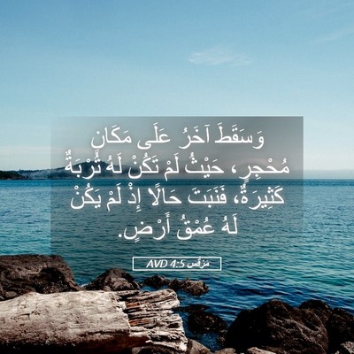 Picture 05 - مَرْقُس 4:5 AVD - وَسَقَطَ آخَرُ عَلَى - Bible Verse Picture