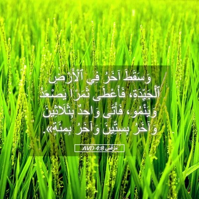 Picture 05 - مَرْقُس 4:8 AVD - وَسَقَطَ آخَرُ فِي - Bible Verse Picture