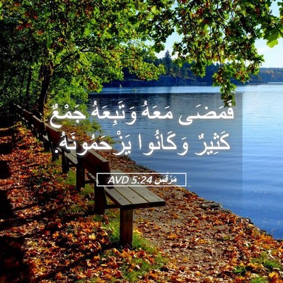 Picture 05 - مَرْقُس 5:24 AVD - فَمَضَى مَعَهُ وَتَبِعَهُ - Bible Verse Picture