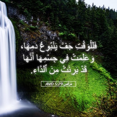 Picture 05 - مَرْقُس 5:29 AVD - فَلِلْوَقْتِ جَفَّ - Bible Verse Picture