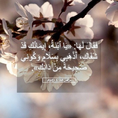 Picture 05 - مَرْقُس 5:34 AVD - فَقَالَ لَهَا: «يَا - Bible Verse Picture