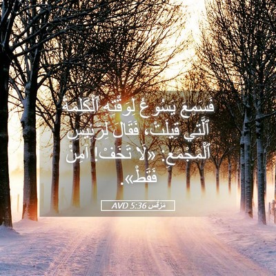 Picture 05 - مَرْقُس 5:36 AVD - فَسَمِعَ يَسُوعُ - Bible Verse Picture