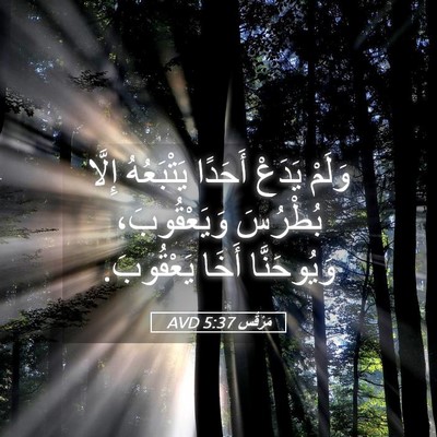 Picture 05 - مَرْقُس 5:37 AVD - وَلَمْ يَدَعْ أَحَدًا - Bible Verse Picture