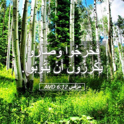 Picture 05 - مَرْقُس 6:12 AVD - فَخَرَجُوا وَصَارُوا - Bible Verse Picture