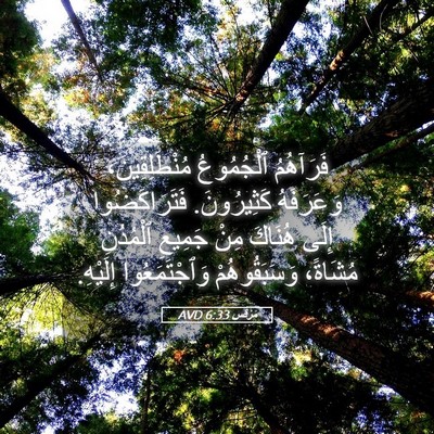 Picture 05 - مَرْقُس 6:33 AVD - فَرَآهُمُ ٱلْجُمُوعُ - Bible Verse Picture