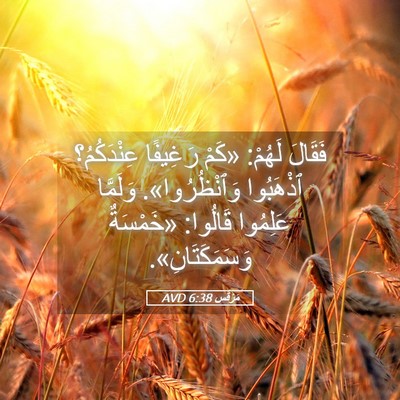 Picture 05 - مَرْقُس 6:38 AVD - فَقَالَ لَهُمْ: «كَمْ - Bible Verse Picture