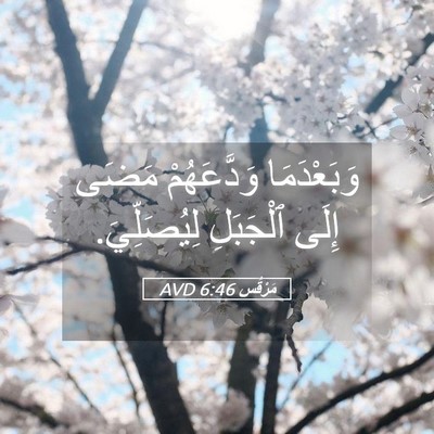 Picture 05 - مَرْقُس 6:46 AVD - وَبَعْدَمَا وَدَّعَهُمْ - Bible Verse Picture