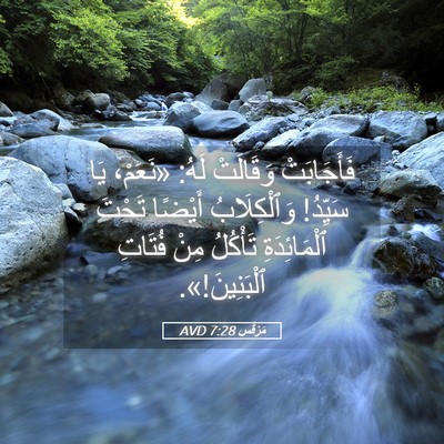 Picture 05 - مَرْقُس 7:28 AVD - فَأَجَابَتْ وَقَالَتْ - Bible Verse Picture