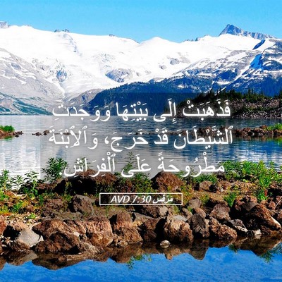 Picture 05 - مَرْقُس 7:30 AVD - فَذَهَبَتْ إِلَى - Bible Verse Picture